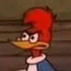 Meet your Posher, Oscar